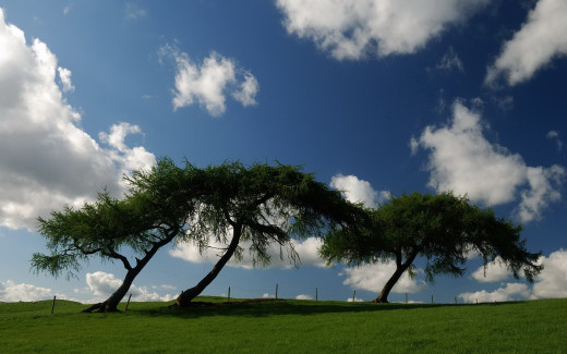 462779 (a): :1680x1050